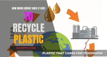 Unveiling the Cost of Recycling: Energy's Role in Plastic's Journey