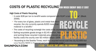 Energy Costs of Plastic Recycling: Understanding the Process