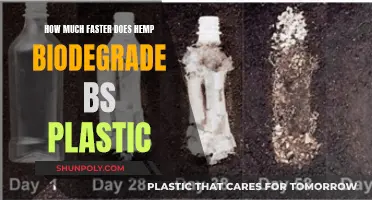 Hemp vs Plastic: The Biodegradation Battle