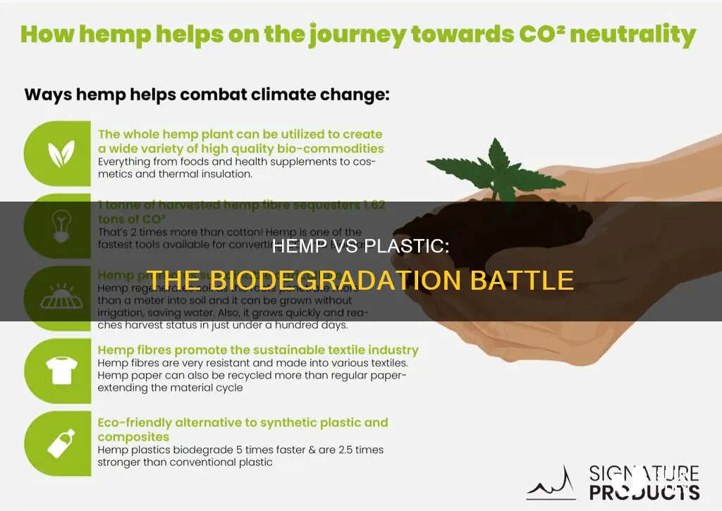 how much faster does hemp biodegrade bs plastic