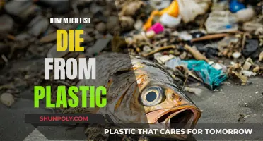 Plastic's Deadly Impact on Fish: A Marine Crisis