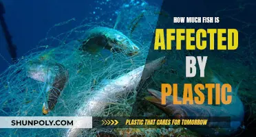 Plastic's Impact on Fish: A Worrying Reality