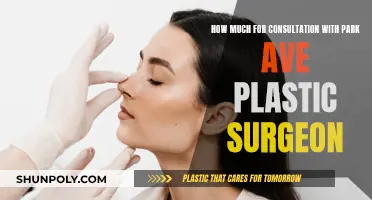 Plastic Surgery Costs: Park Ave Surgeon Consultation Fees