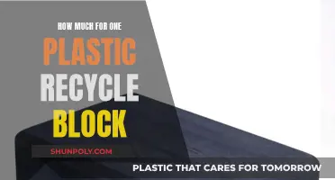 The Cost of Building with Recycled Plastic Blocks