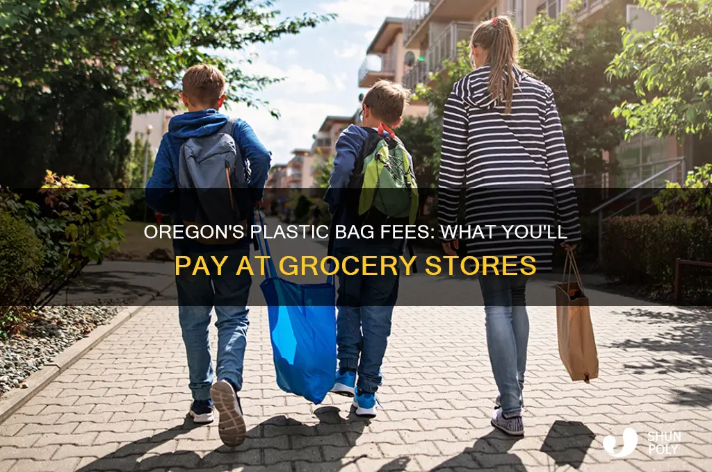 how much for plastic bags of groceries in oregon
