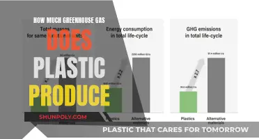 The Dark Side of Plastic: Greenhouse Gas Emissions