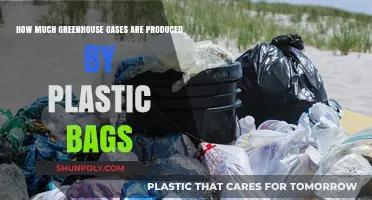 Plastic Bags' Hidden Cost: Unveiling Their Greenhouse Gas Emissions Impact