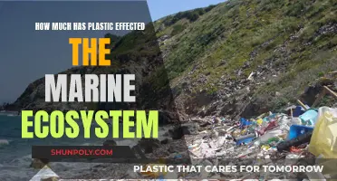 Plastic's Impact: Devastating Marine Life and Ecosystems