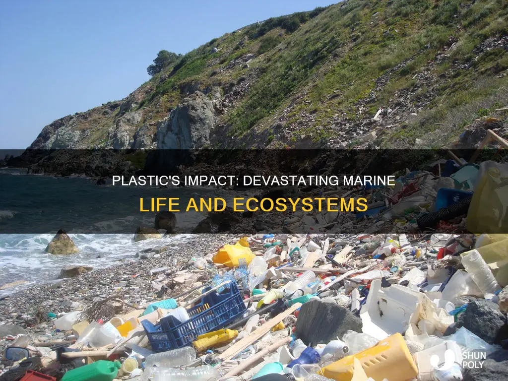 how much has plastic effected the marine ecosystem