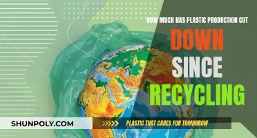 Plastic Production: Impact of Recycling and Future Steps