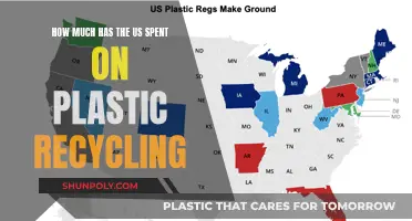 The US's Plastic Recycling Efforts: A Cost Analysis