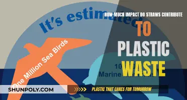 Straws: A Big Impact on Plastic Waste Crisis