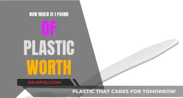 Plastic's Monetary Value: Is It Worth the Weight?