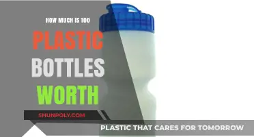 Valuing Plastic: How Much Are 100 Bottles Really Worth?
