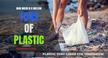 Plastic Pollution: Understanding the Weight of the Crisis