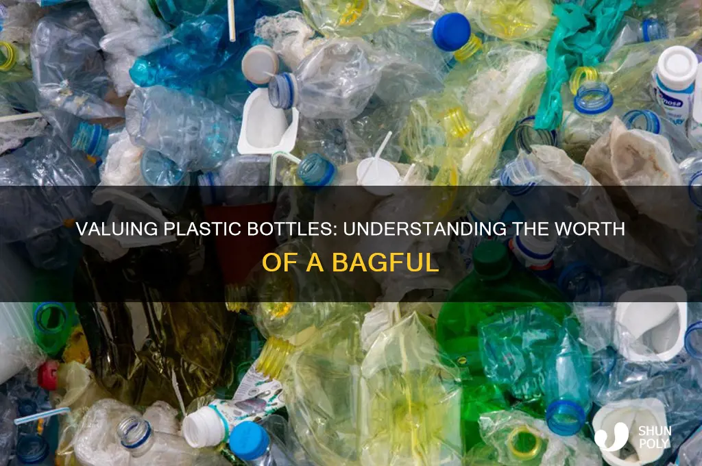 how much is a bag of plastic bottles worth