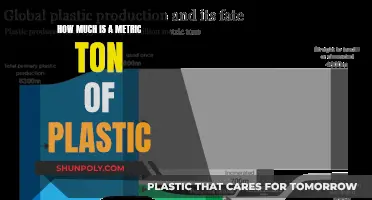 The Heavy Cost of Plastic: Tonnes and Dollars