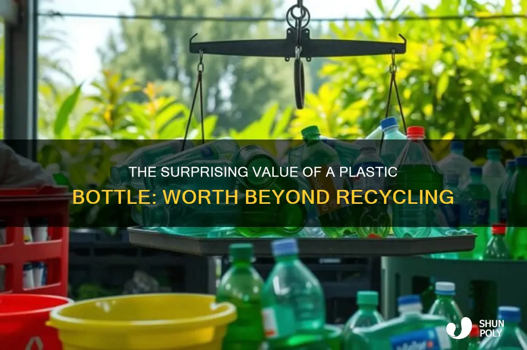 how much is a plastic bottle worth