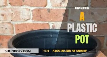 Cost Analysis of Plastic Pots: Price Factors and Affordability