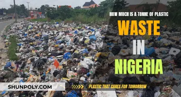 Plastic Waste Crisis: Nigeria's Costly Tonnes