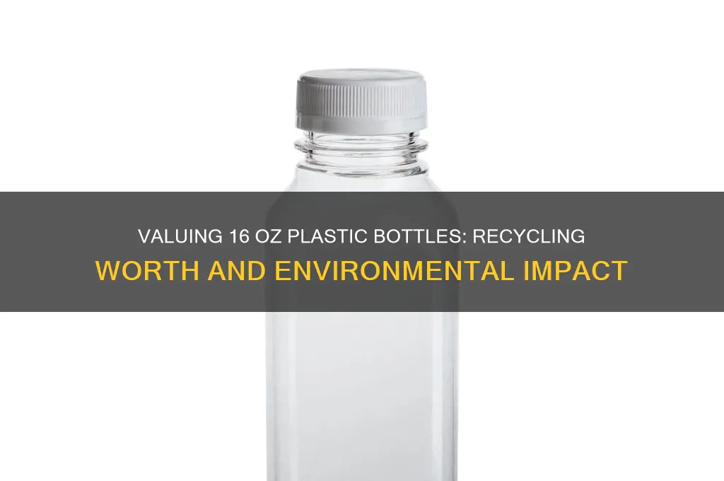 how much is one 16 oz plastic bottle worth