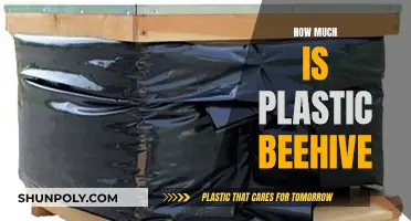 Plastic Beehives: Cost, Benefits, and Drawbacks