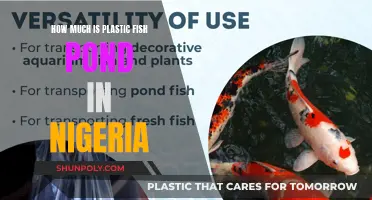 Plastic Fish Pond Prices in Nigeria: A Comprehensive Guide