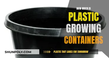 Affordable Plastic Growing Containers: How Much Do They Cost?