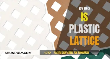 Plastic Lattice: Understanding the Cost and Value