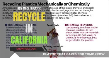 California's Plastic Recycling Efforts: How Much Progress?