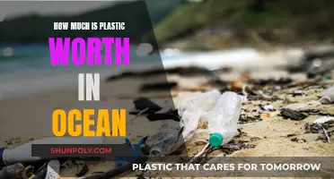 The Ocean's Plastic: A Costly Global Crisis