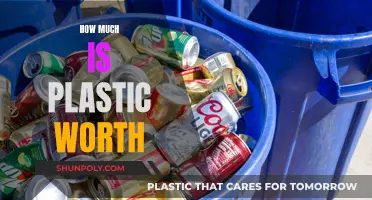 The Value of Plastic: Worth a Fortune?