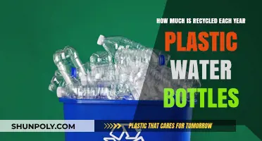 Annual Plastic Water Bottle Recycling Rates: Surprising Global Statistics Revealed