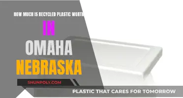 Recycling Plastic: Omaha's Worth and Potential