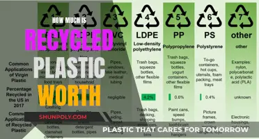 The Value of Recycled Plastic: Worth a Fortune?