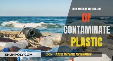 Contaminated Plastic's Cost: Environmental and Economic Impact