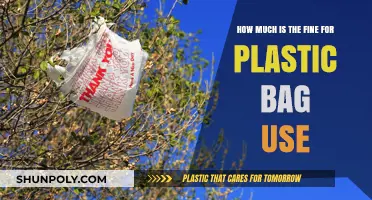 Plastic Bag Fines: Understanding Penalties for Single-Use Plastic Usage