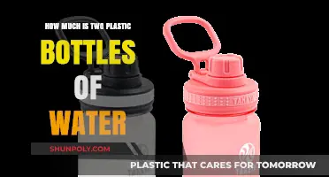 Cost of Two Plastic Water Bottles: A Quick Price Breakdown