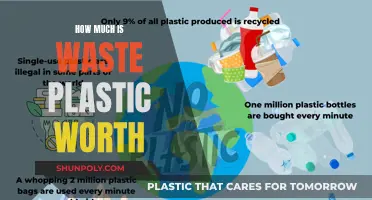 Plastic Waste: A Valuable Resource or a Costly Burden?