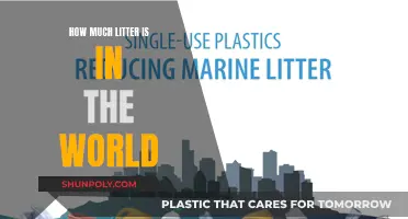 Litter in Our World: A Global Problem