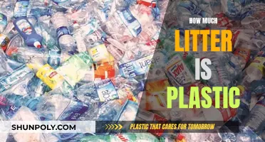 Plastic Pollution: Understanding the Litter Crisis