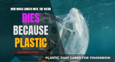 Ocean's Demise: Plastic's Impact and Our Future