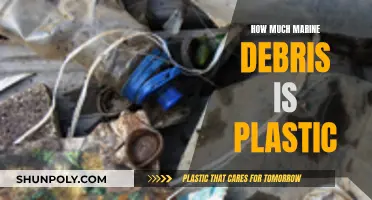 The Ocean's Plastic Problem: Understanding Marine Debris