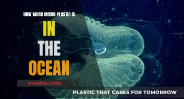 Microplastics in the Ocean: An Alarming Crisis