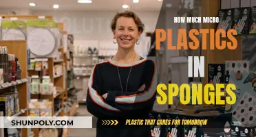 Sponges: A Microplastics Haven?