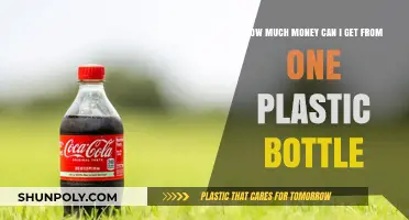 Earning Potential: How Much Money Can One Plastic Bottle Yield?