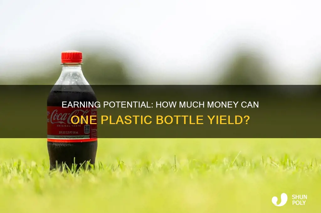 how much money can i get from one plastic bottle