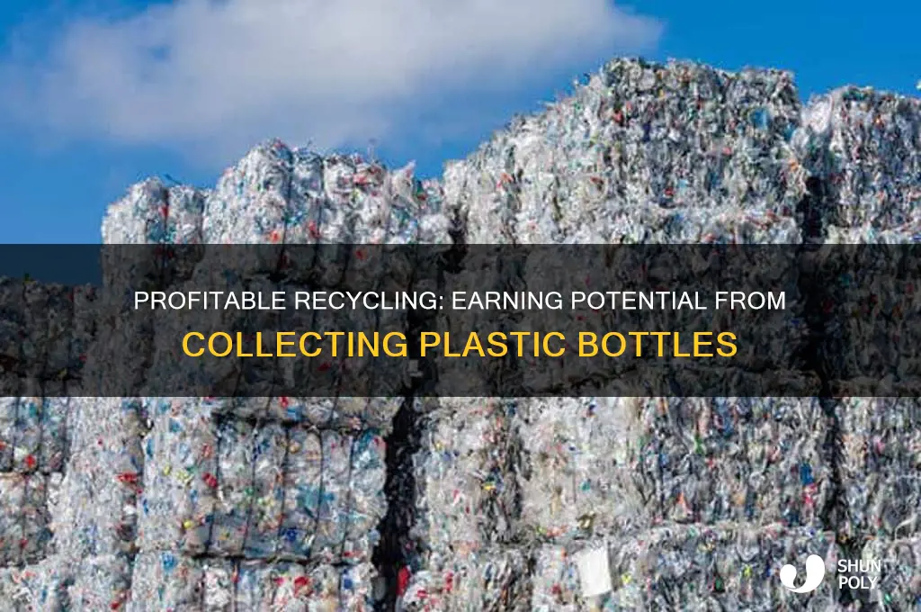 how much money can you make collecting plastic bottles