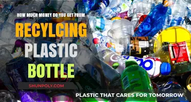 Earning from Recycling: How Much Money Can Plastic Bottles Yield?