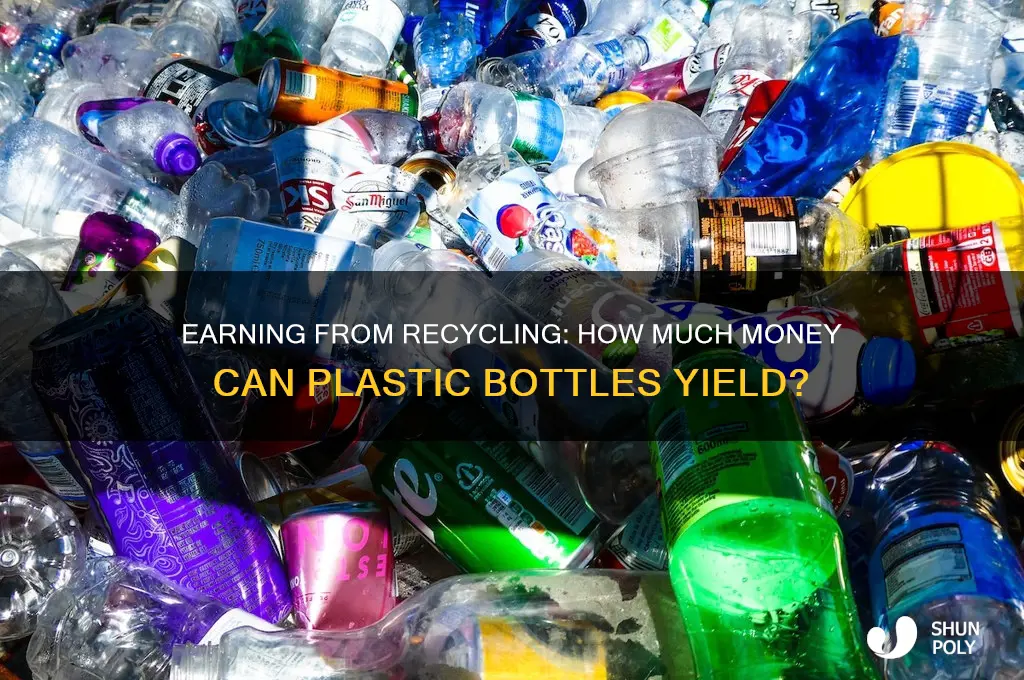 how much money do you get from recylcing plastic bottle